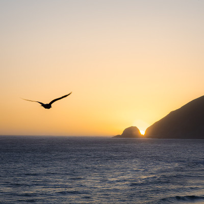 飞向夕阳