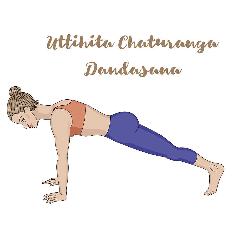 女性的剪影。高平板瑜伽姿势。恰图兰卡Uttihita Dandasana。