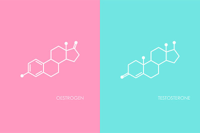 Testosterone and Oestrogen molecula structure. Blu