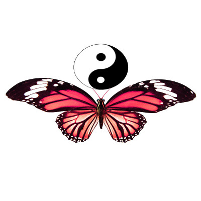 热带红蝴蝶。在白色背景上隔离
