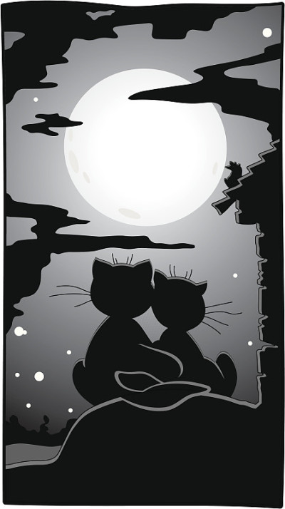 月亮猫