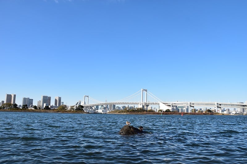 东京市景白天