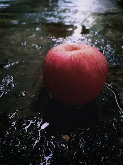 红苹果
