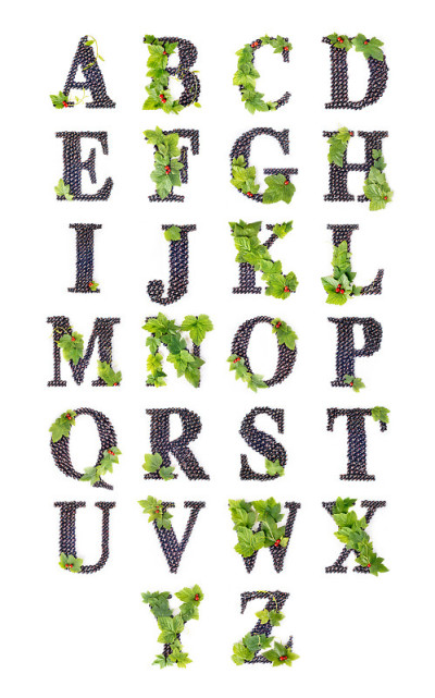 字母的浆果