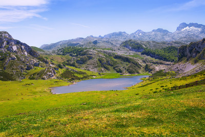 景观与湖泊和牧场