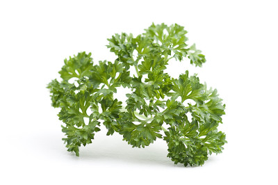 欧芹