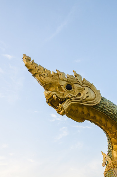 龙