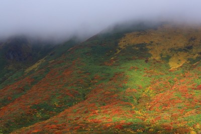 栗山的秋叶