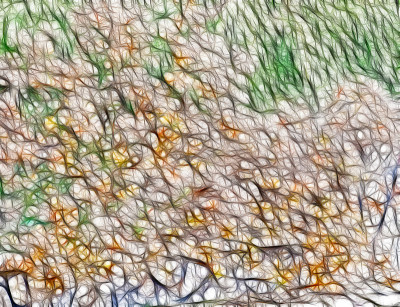 颜色抽象插图