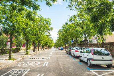 城市街道上有绿树