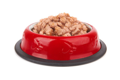 白色的宠物食品