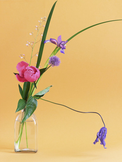 各种花卉，鸢尾，水仙花，牡丹，玻璃花瓶。
