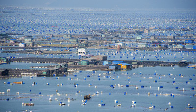 海水养殖渔民