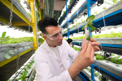 在温室里种植时，男性农学家拿着绿色植物