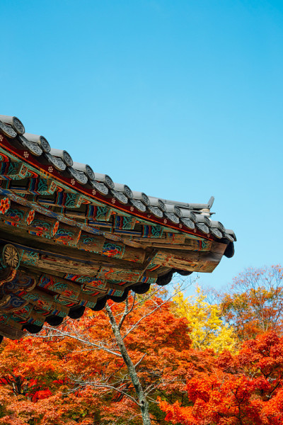 庆州佛国寺的秋叶屋顶