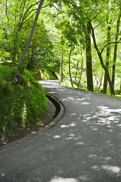 公园里的路
