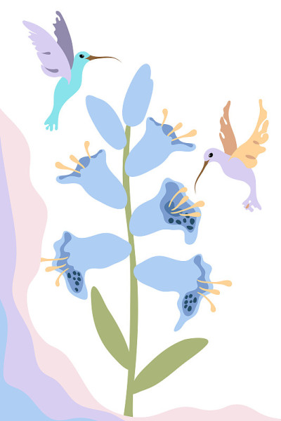 colibry和抽象蓝钟花。小蜂鸟飞行。孤立。卡通风格。
