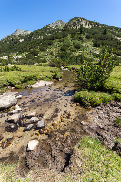 保加利亚皮林山Valyavitsa河和Valyavishki chukar峰的夏季景观