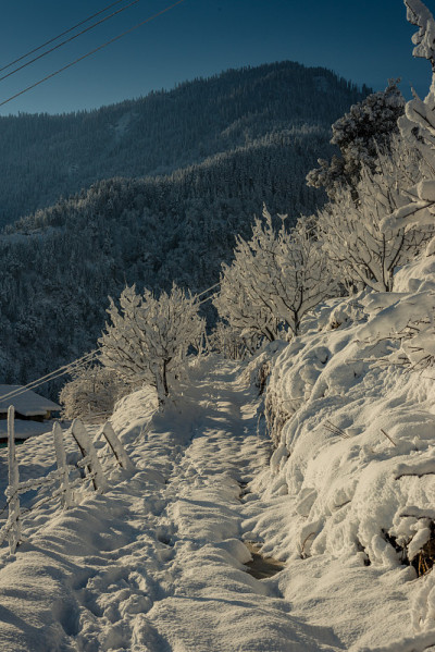 雪山覆盖的道路-雄伟的冬季景观在喜马拉雅山