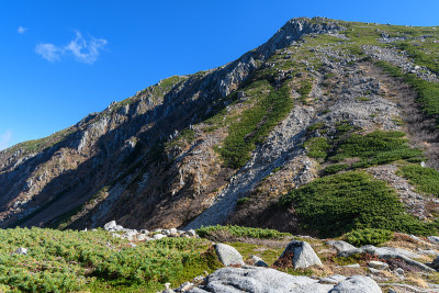 深秋的稻岭山