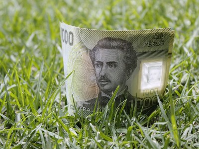 经济和金融用智利的钱