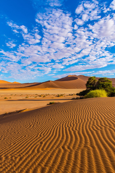 Sossusvlei、纳米比亚