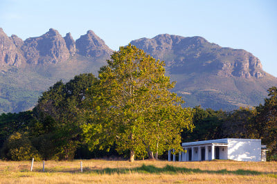 南非Stellenbosch