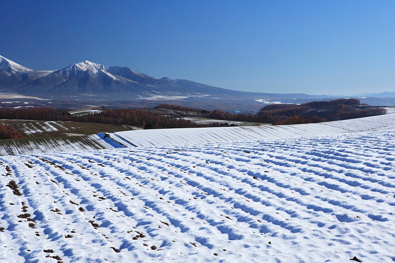 十胜山脉上的雪