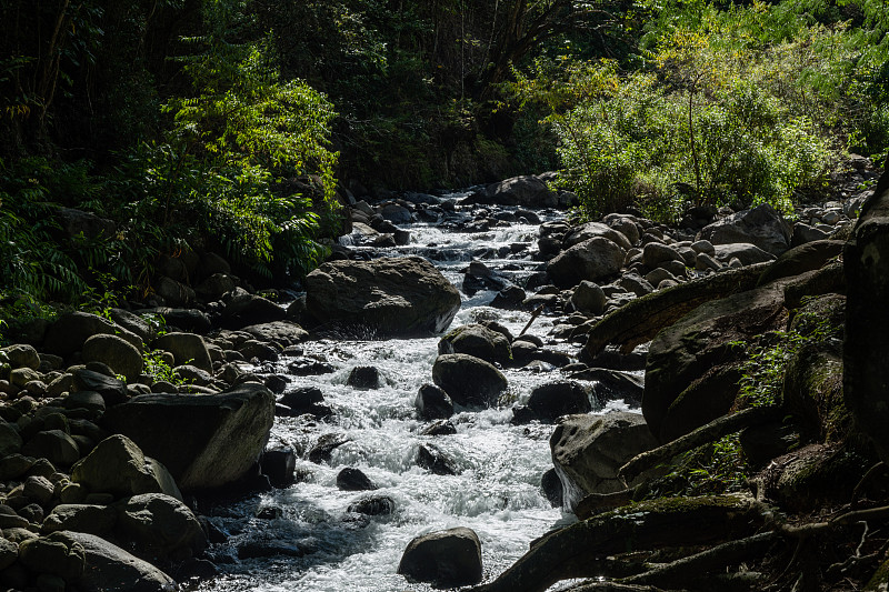 夏威夷，西毛伊山脉，风景优美的Iao Stream