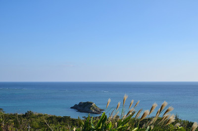日本的热带海岸景色