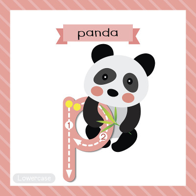 字母P小写跟踪。坐着的熊猫