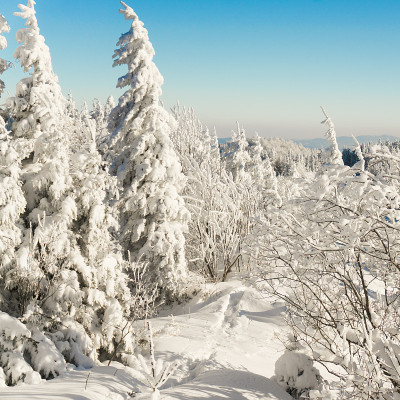 冬季森林树木在山上覆盖着新鲜的雪。晴朗的天气和蓝天。小道上山。广场,复制空间。