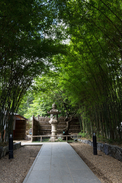 竹隧道