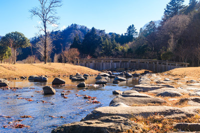 宫城