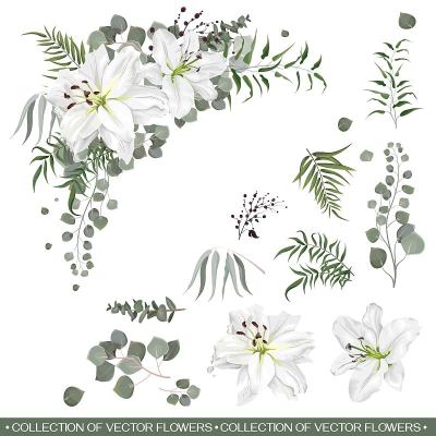 花卉向量集合