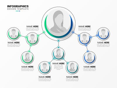 Infographic design template. Organization chart. B
