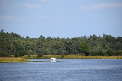 学习海德海德