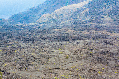 火山口地板