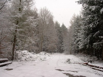 库特纳霍拉和卡罗维发利之间的雪路