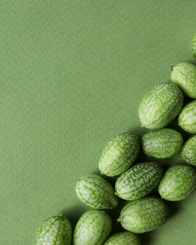 垂直模板横幅，海报与复制空间。Cucamelon