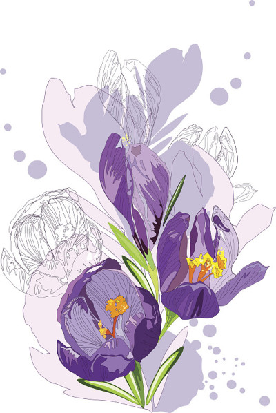 一幅春花素描