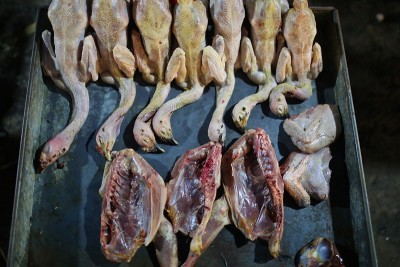 鸡摊位