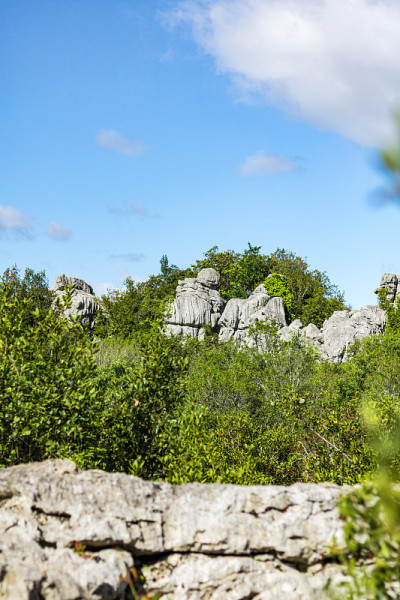 塞文山(Occitanie，法国)山脚下索维(Sauve)的Mer des Rochers酒店
