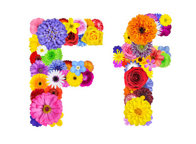 花字母孤立于白字F
