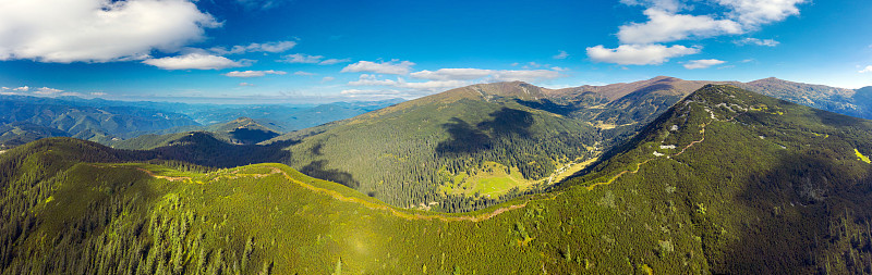 喀尔巴阡山脉的高山松林。
