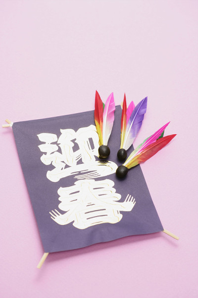 新年的图片