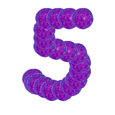 白血球数目收集- 5