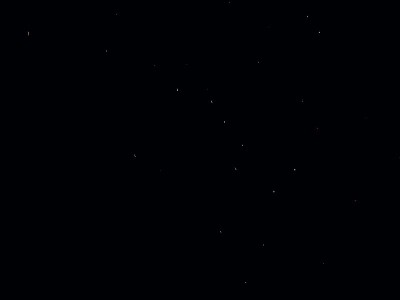大熊星座的星座