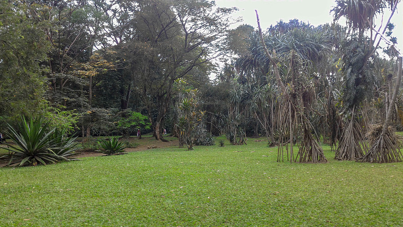 美丽的地方和自然，Kebun Raya茂物，印度尼西亚