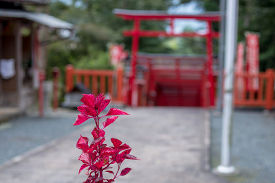 鸟居